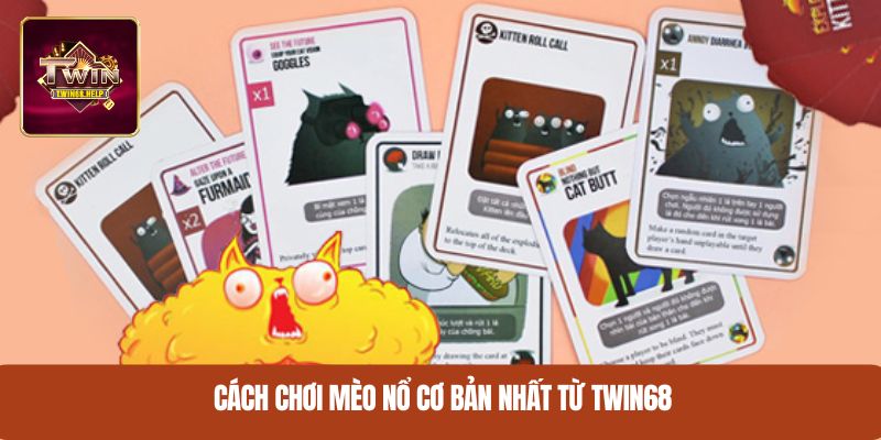 Cách chơi Mèo Nổ cơ bản nhất từ TWIN68