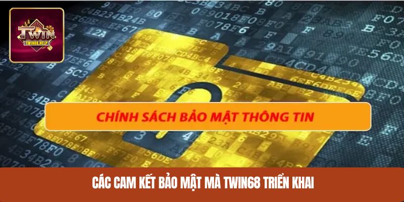 Các cam kết bảo mật mà TWIN68 triển khai