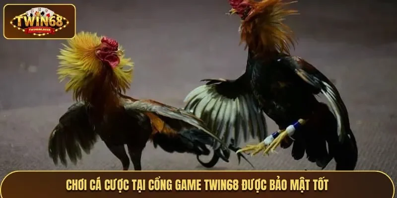 Chơi cá cược tại cổng game được bảo mật tốt, an toàn cao