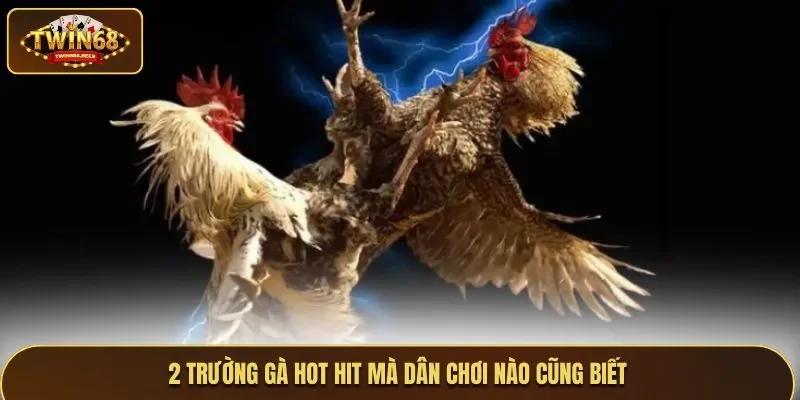 2 sới đá gà Philippines hot hit mà dân chơi nào cũng biết