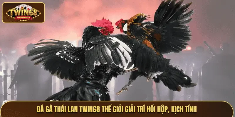 Đá gà Thái Lan